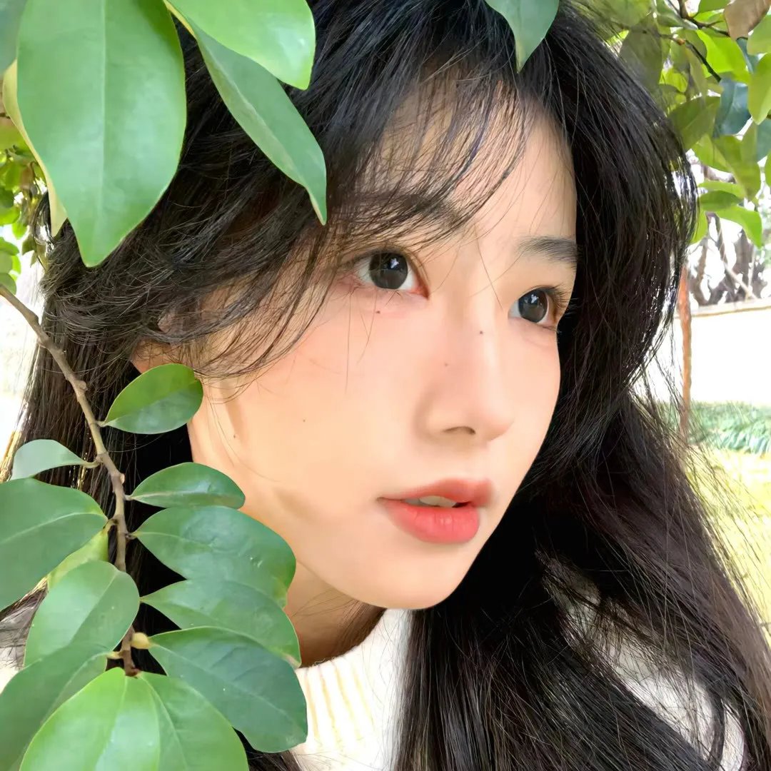 爱若轮回终须渡